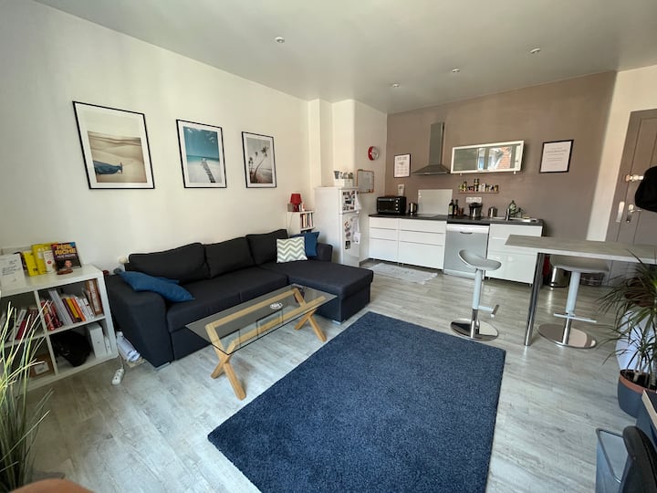 Cocooning apartment in the heart of Grenoble Apartments for Rent in