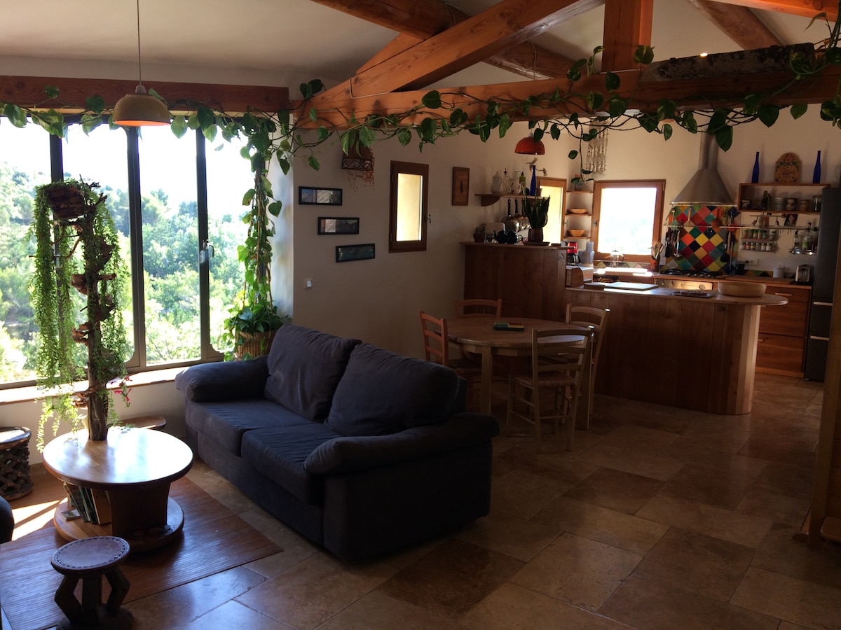 Top performing Airbnb: Large country house in the Luberon in Apt