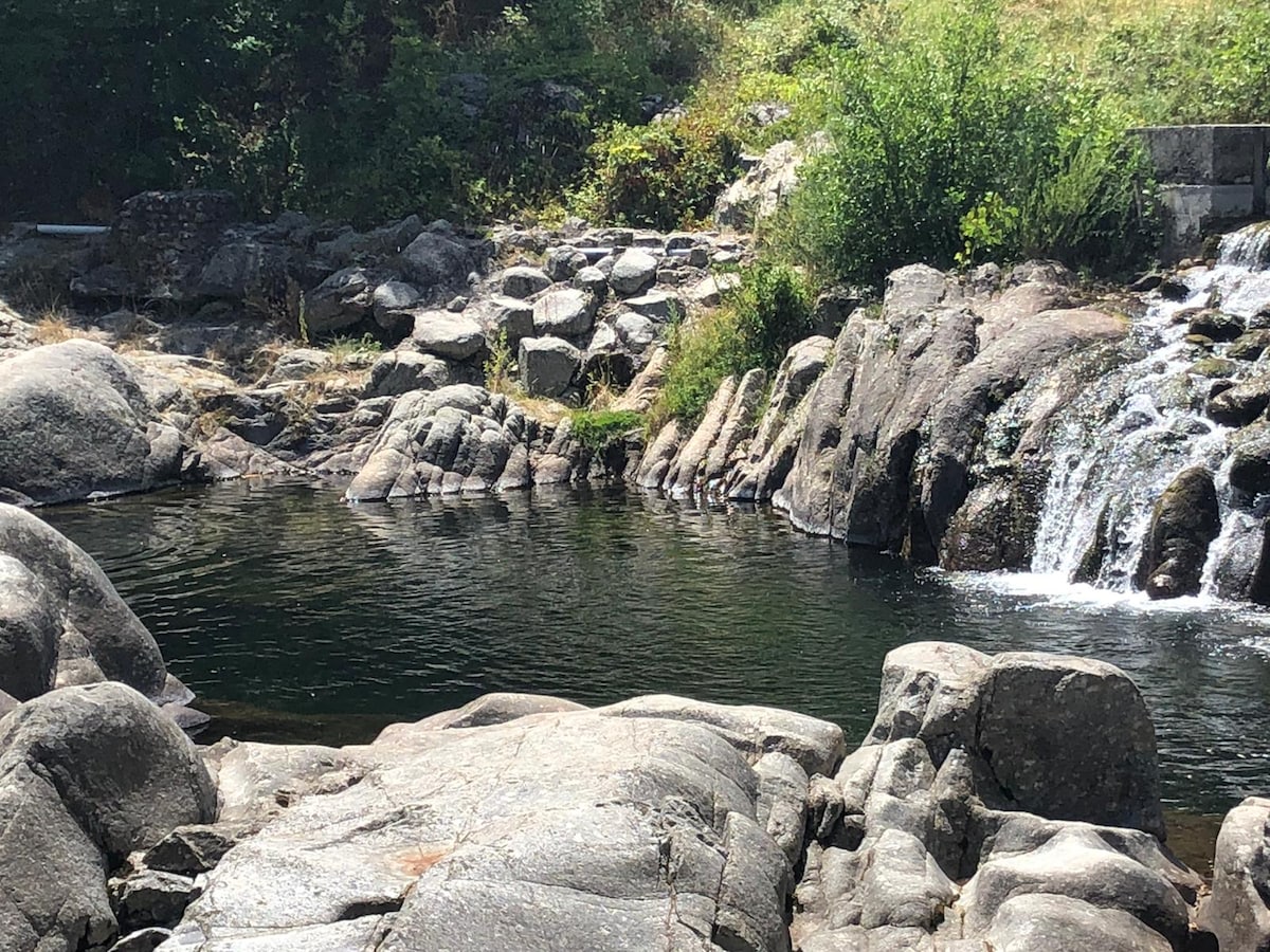 A natural swimming area is depicted, featuring clear, calm water surrounded by various sizes of smooth rocks. Small waterfalls cascade gently into the pool, with lush greenery framing the scene, providing a serene outdoor retreat in nature.
