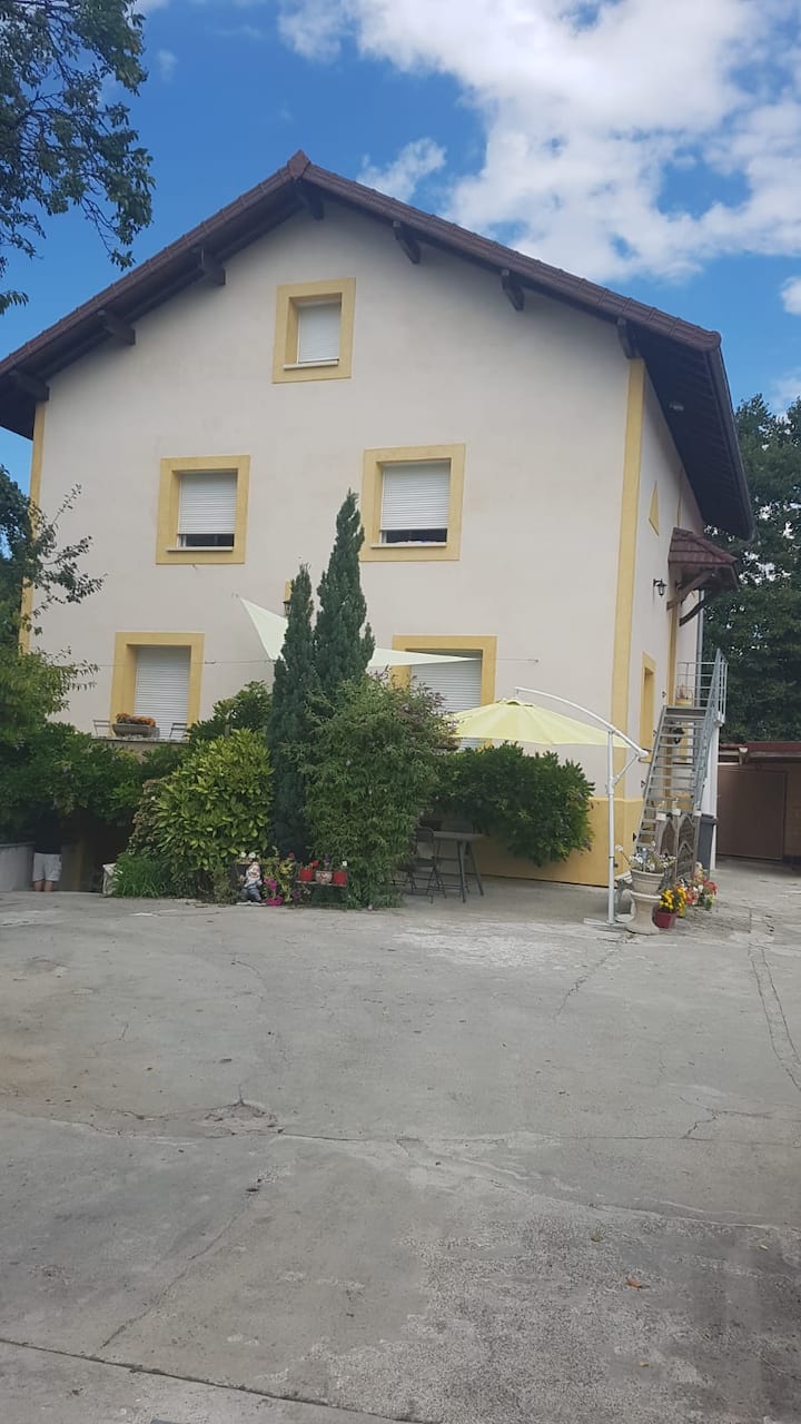 Magnifique  Appartement Haut Savoyard - Pringy