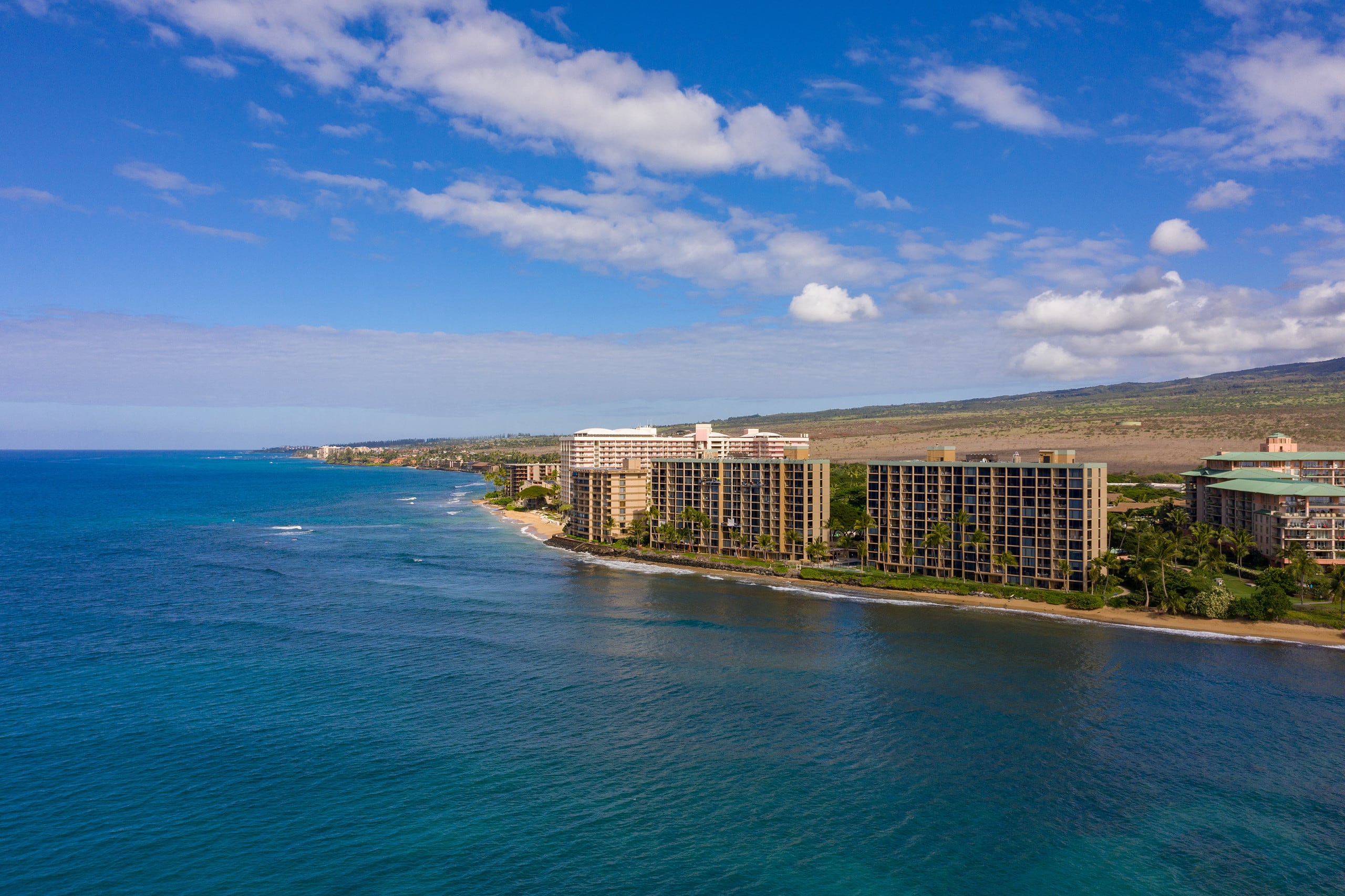 Condo in Lahaina · ★4.99 · 1 bedroom · 1 bed · 1 bath - Image 4