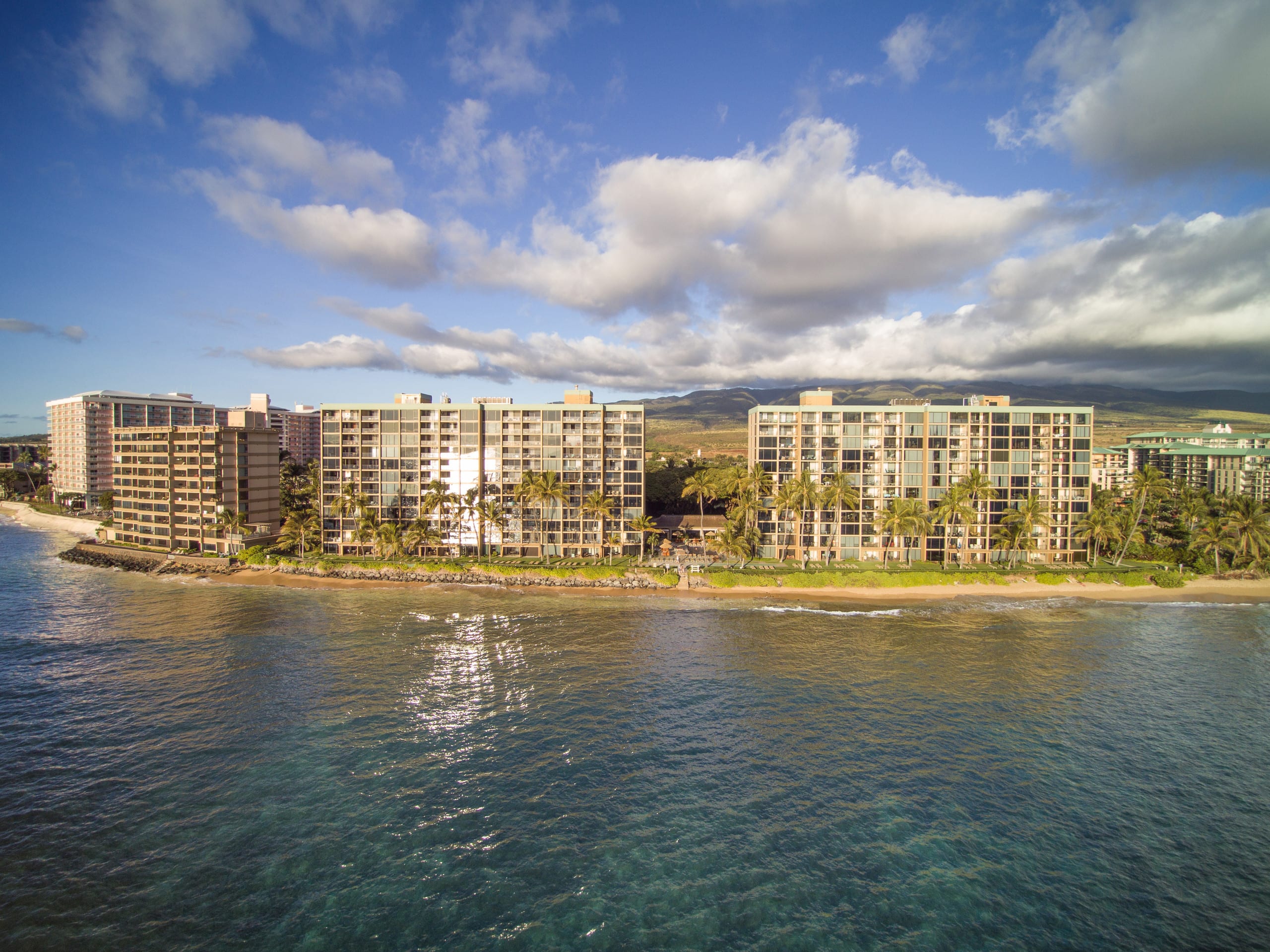 Condo in Lahaina · ★4.99 · 1 bedroom · 1 bed · 1 bath - Image 1