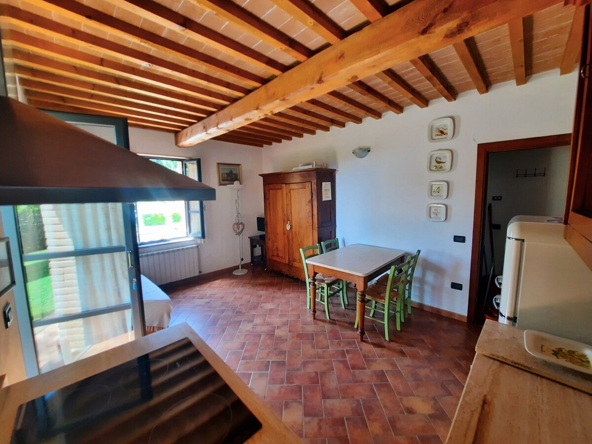 Proprietà Airbnb di successo: 2+2 beautiful apartment in residenc a Riparbella