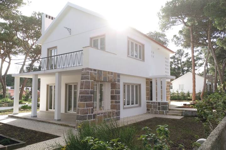 Family villa in Banzão pineforest w pool & garden gallery image 2