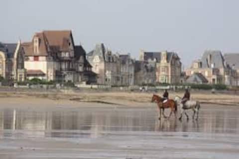 Beautiful apartment  500 m from the beach