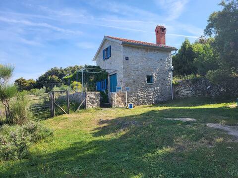 Successful Airbnb property: Tiny House with a View in Grad Cres
