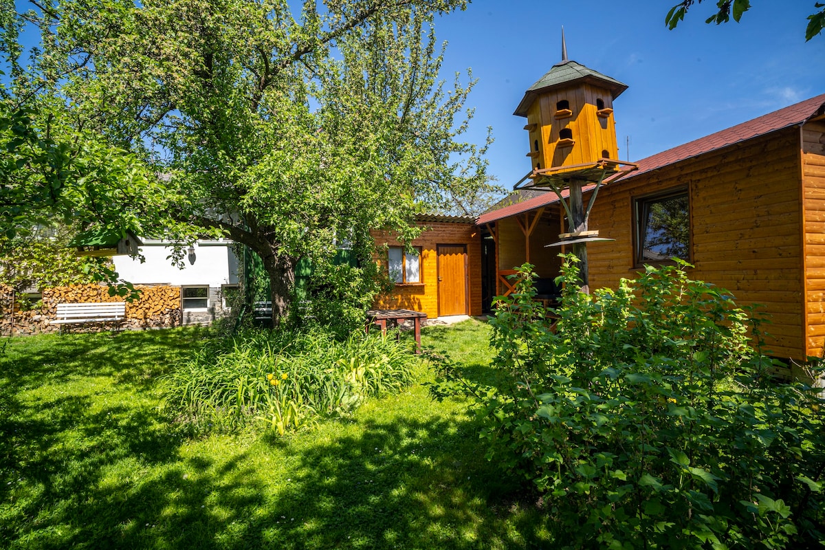 Staré Hodějovice Vacation Rentals & Homes - South Bohemian Region, Czechia  | Airbnb