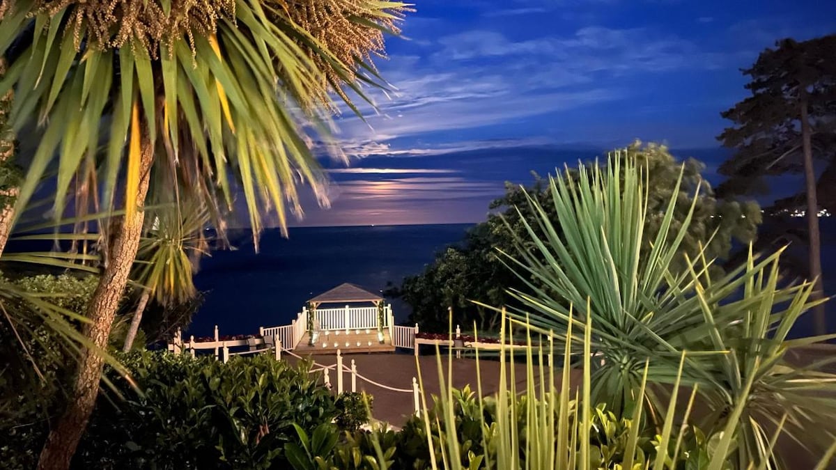 A serene view of the ocean is captured at dusk, framed by lush palm leaves and shrubs. The night sky shows gentle clouds illuminated by the setting sun, while a gazebo stands prominently near the water's edge, offering a peaceful gathering space.