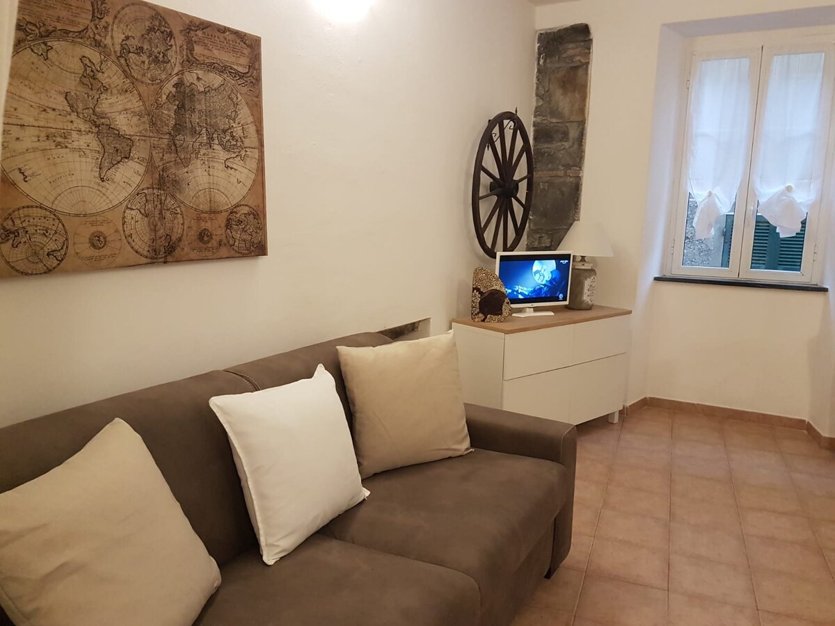 Airbnb con migliori performance: typical apartment in the center 011030-LT-0090 a Vernazza