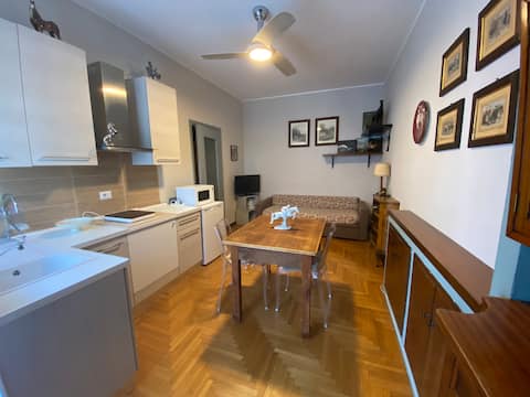 STUDIO in the center of MILLE CAVALLI