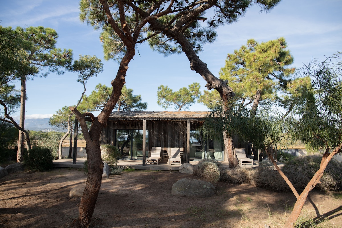 The villa is framed by tall trees, showcasing a unique architectural design with a thatched roof. Large glass windows offer a seamless connection to the surrounding nature. Comfortable outdoor seating is arranged on a wooden deck, providing an inviting space for relaxation.