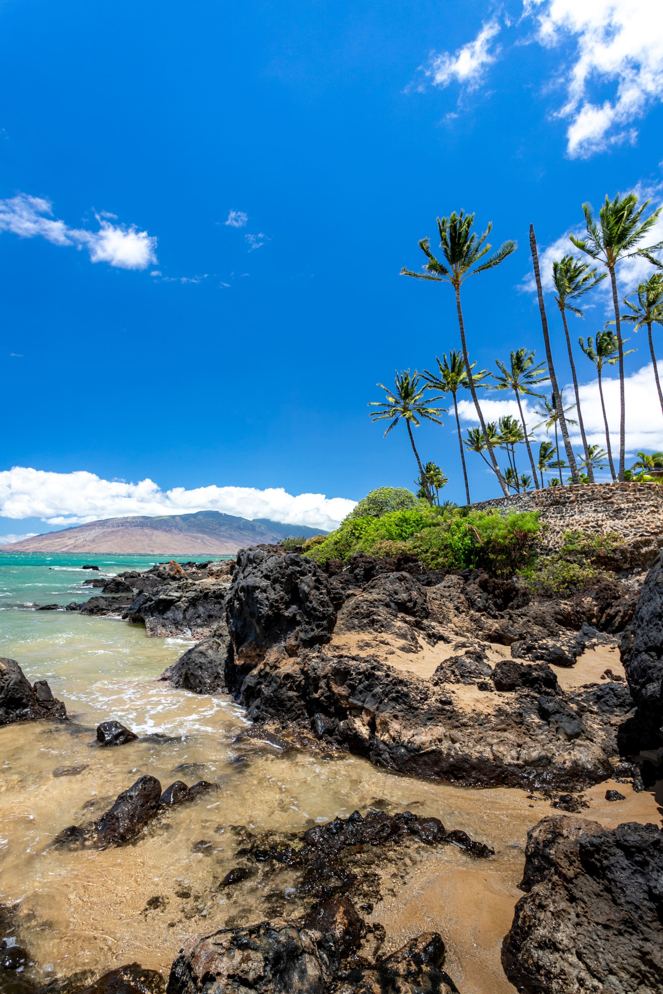 Condo in Kihei · ★4.91 · 3 bedrooms · 4 beds · 2 baths - Image 39
