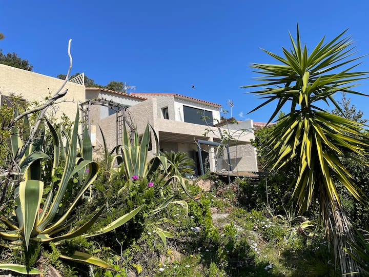 Joli Studio  Avec Vue Sur La Baie De Santa Giulia - Santa Giulia