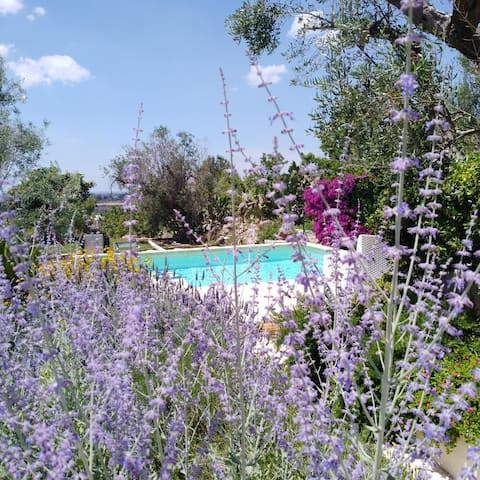 Ulivi al tramonto: country home with private pool