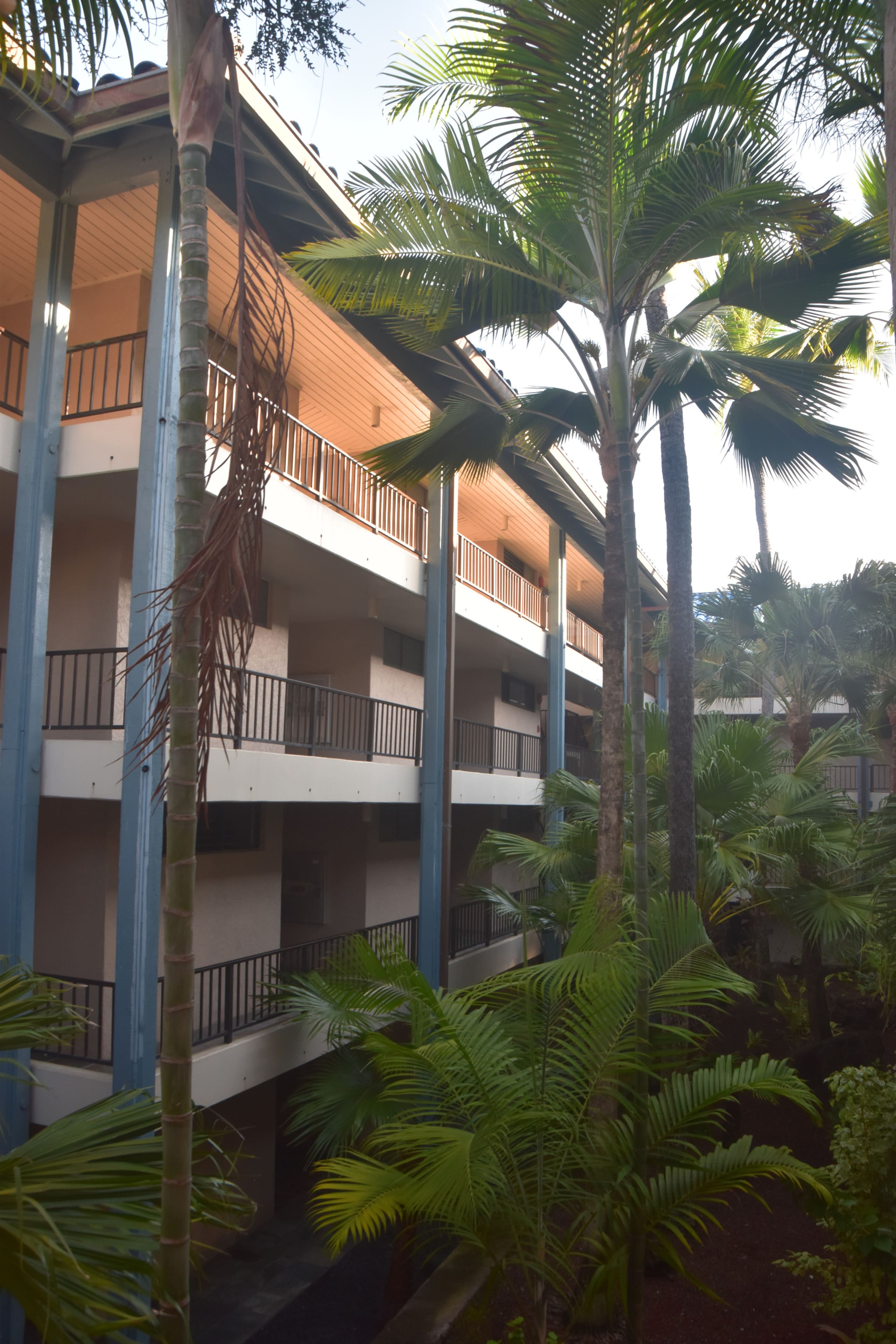 Condo in Kailua-Kona · ★4.88 · 1 bedroom · 1 bed · 1 bath - Image 26