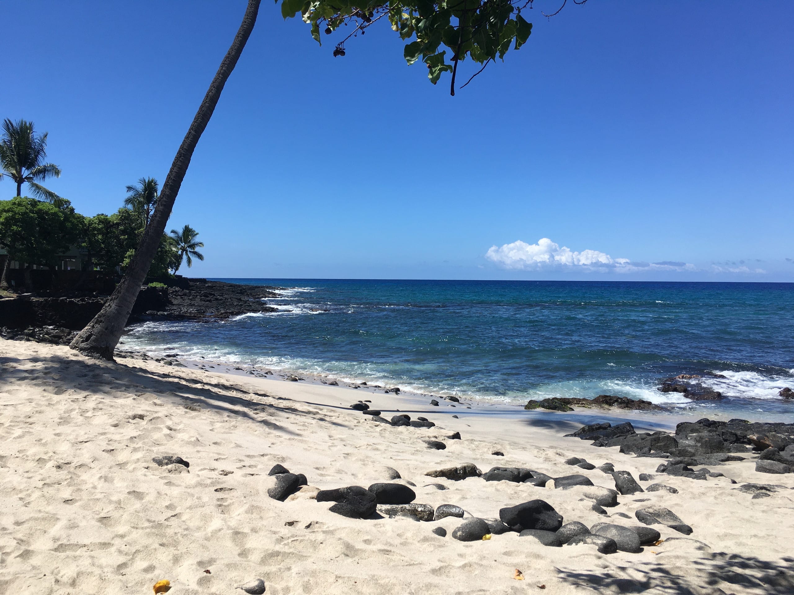 Condo in Kailua-Kona · ★4.88 · 1 bedroom · 1 bed · 1 bath - Image 51