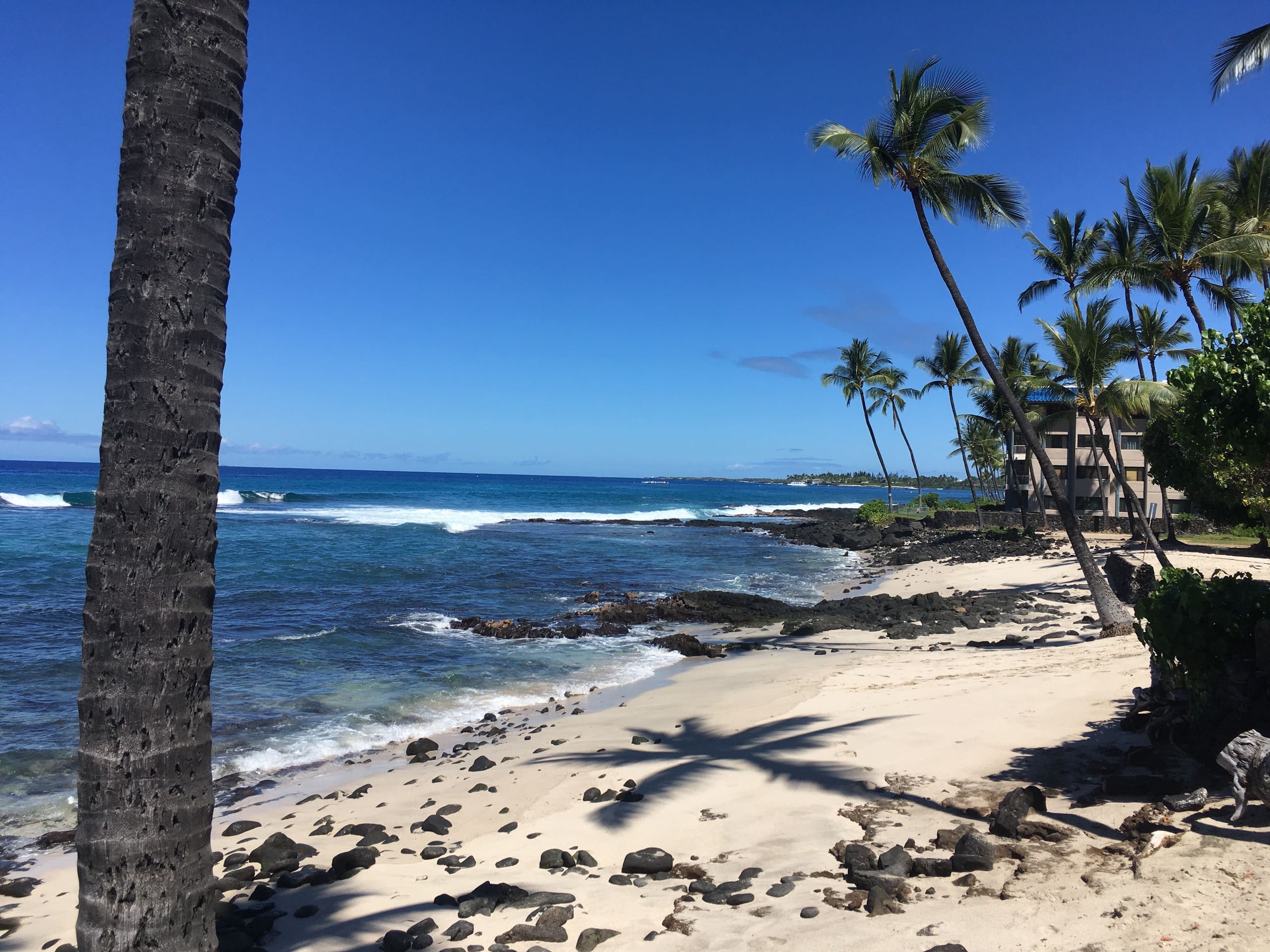 Condo in Kailua-Kona · ★4.88 · 1 bedroom · 1 bed · 1 bath - Image 41