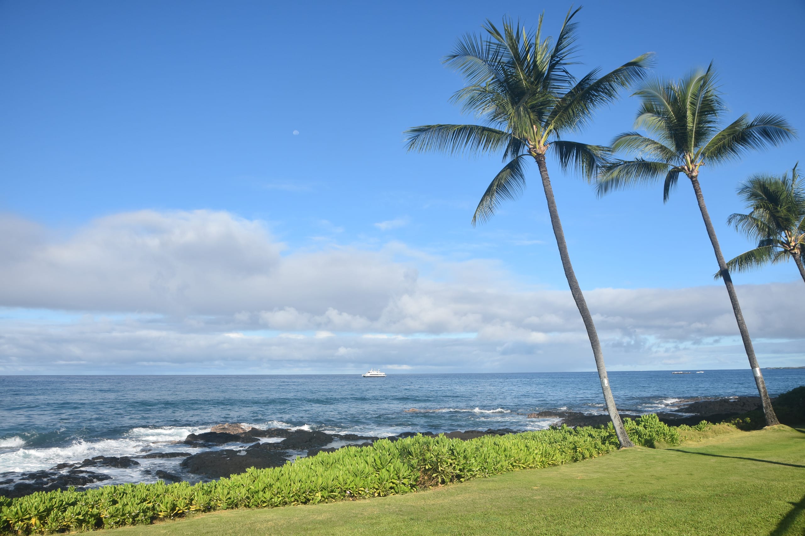 Condo in Kailua-Kona · ★4.88 · 1 bedroom · 1 bed · 1 bath - Image 49