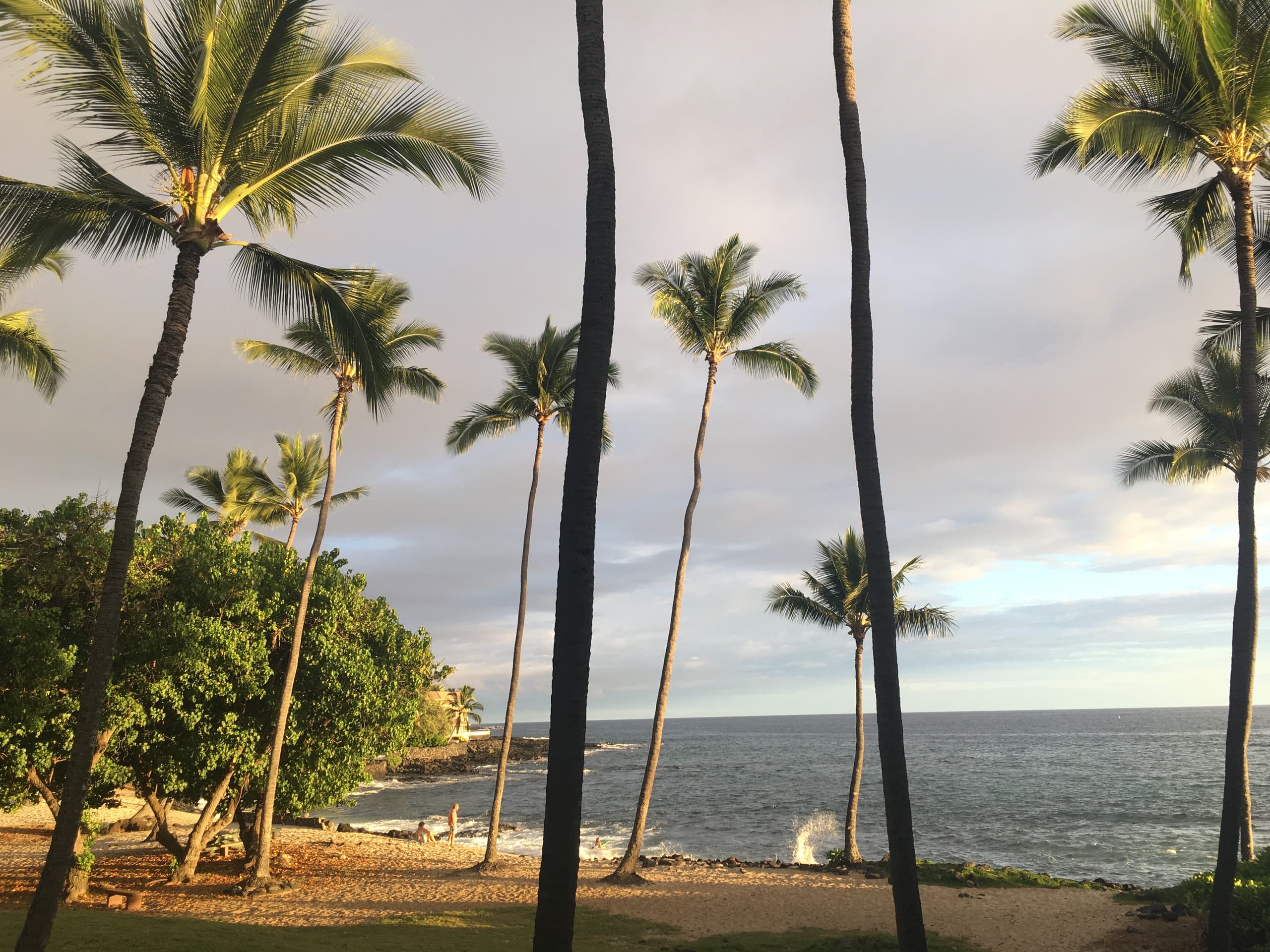 Condo in Kailua-Kona · ★4.88 · 1 bedroom · 1 bed · 1 bath - Image 56