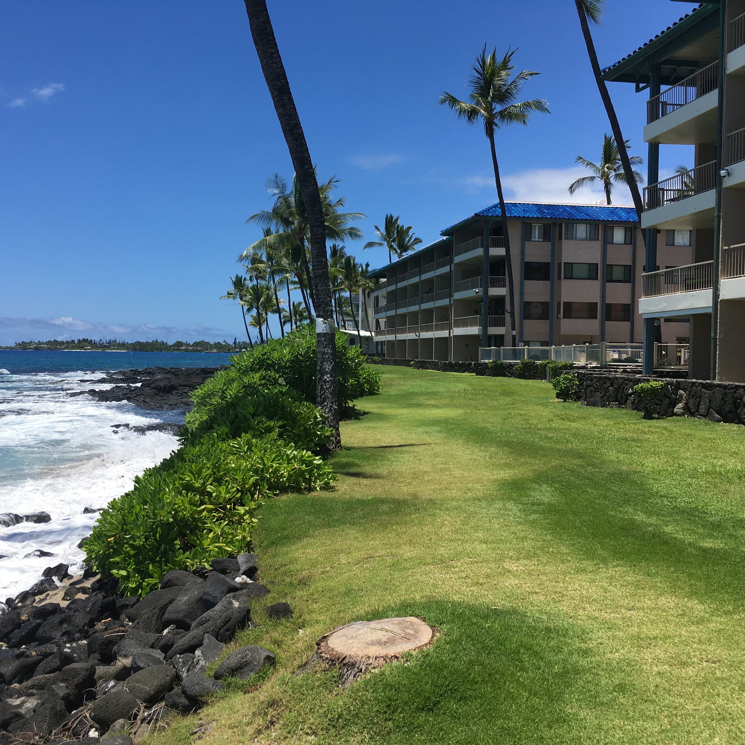 Condo in Kailua-Kona · ★4.88 · 1 bedroom · 1 bed · 1 bath - Image 21