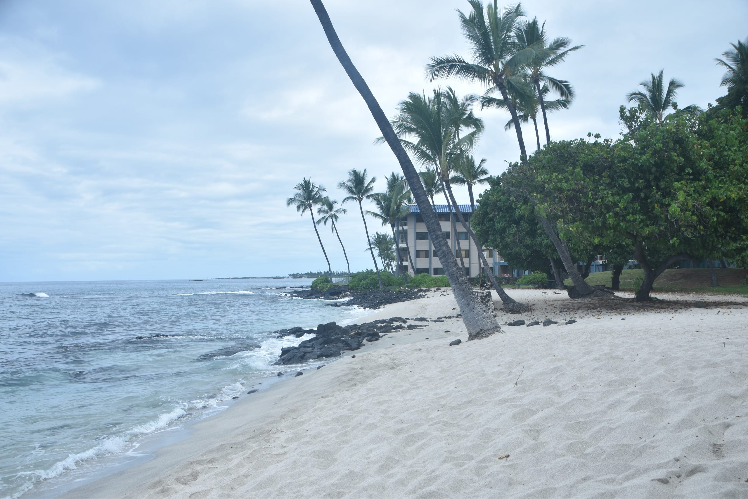 Condo in Kailua-Kona · ★4.88 · 1 bedroom · 1 bed · 1 bath - Image 46