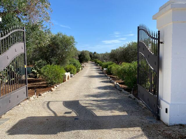 la corte dei trulli – trullo basilico gallery image 5
