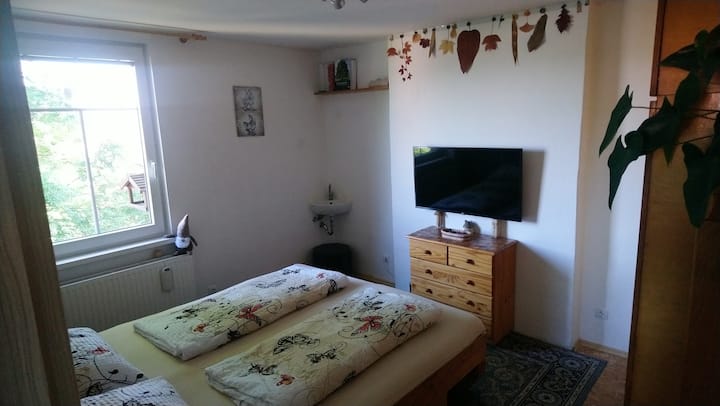 Spavaća soba s krevetom dimenzija 180 x 175 cm. Iza prozora prekrasnog čvrstog stabla ašita