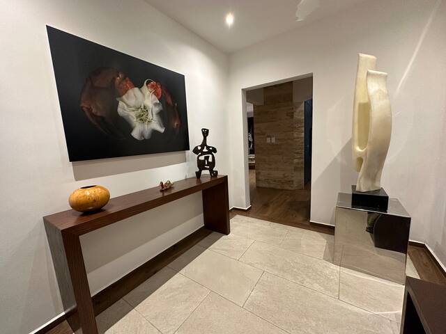 Fantastic home with garden in Mexico City downtown gallery image 3