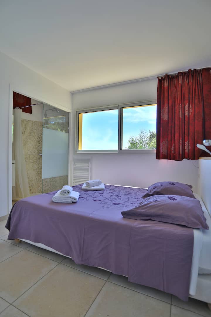 带淋浴和卫生间的主套房。