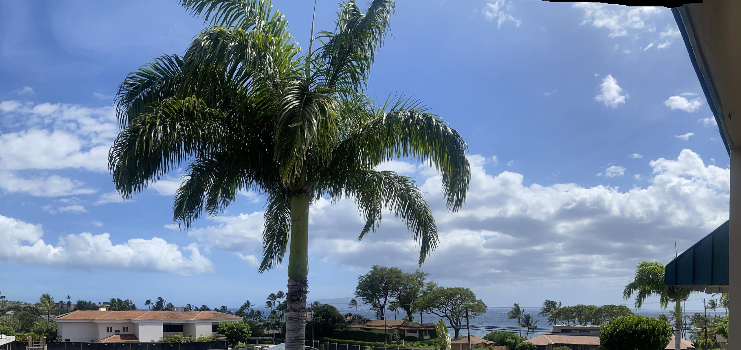 Condo in Kihei · ★4.92 · 2 bedrooms · 2 beds · 2 private baths - Image 7