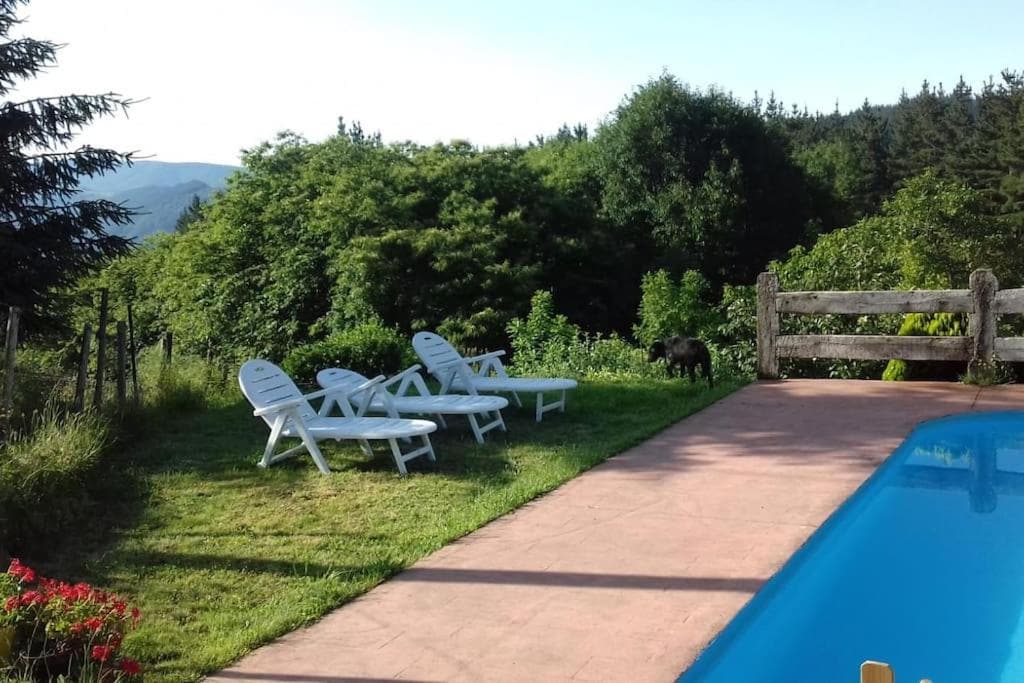 Casa Olivar — view 5