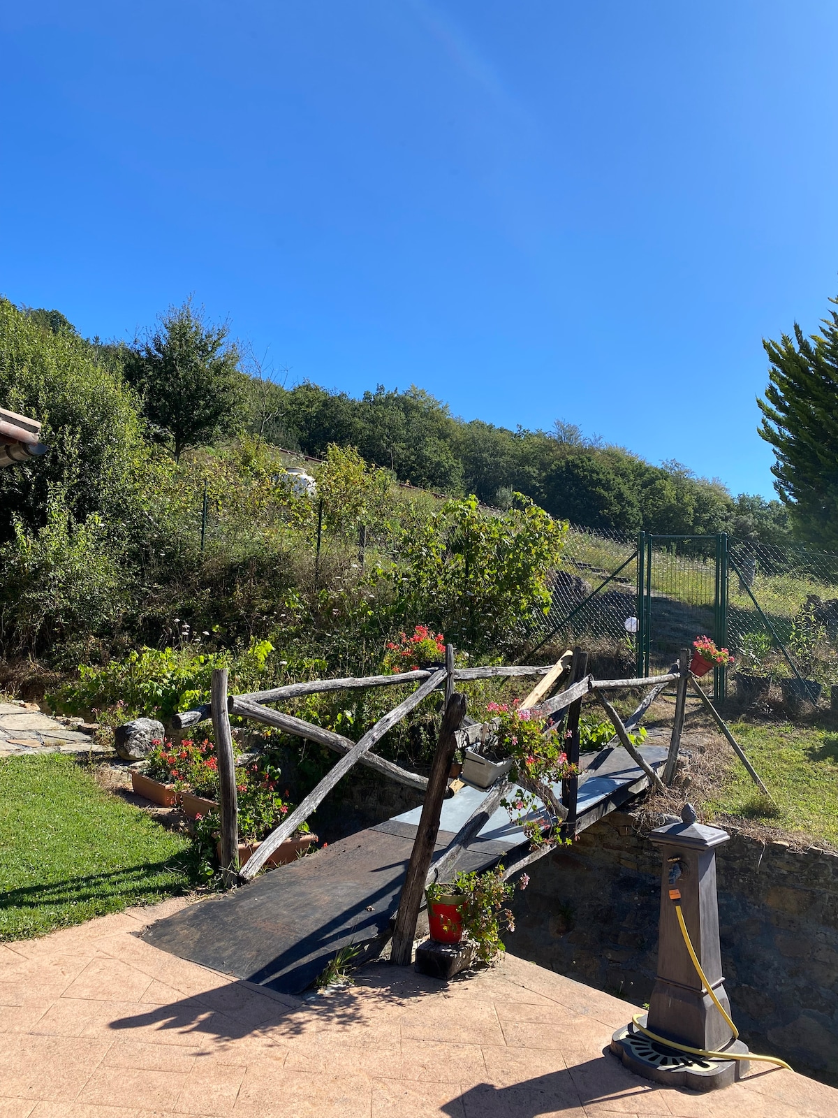Casa Olivar — view 4