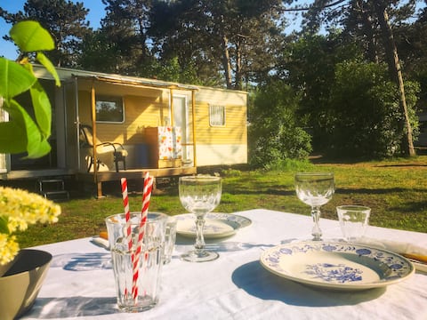 Top performing Airbnb: Camping Bakkum: Sunny Spacious Spot in Duin En Bosch