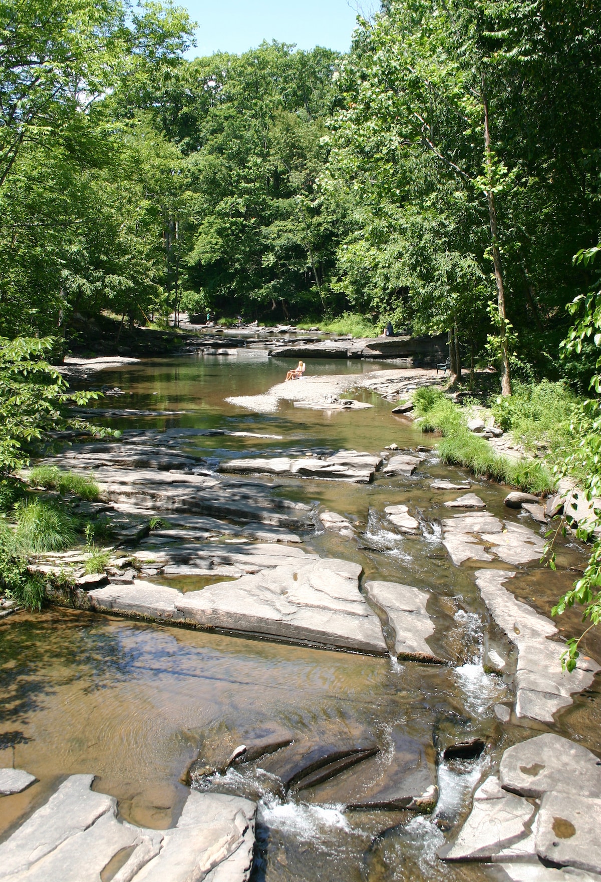 A gently flowing brook meanders over smooth stones, bordered by lush greenery. Sunlight filters through the trees, casting dappled shadows on the water. The tranquil scene invites relaxation, with natural elements harmoniously blending with the serene environment.