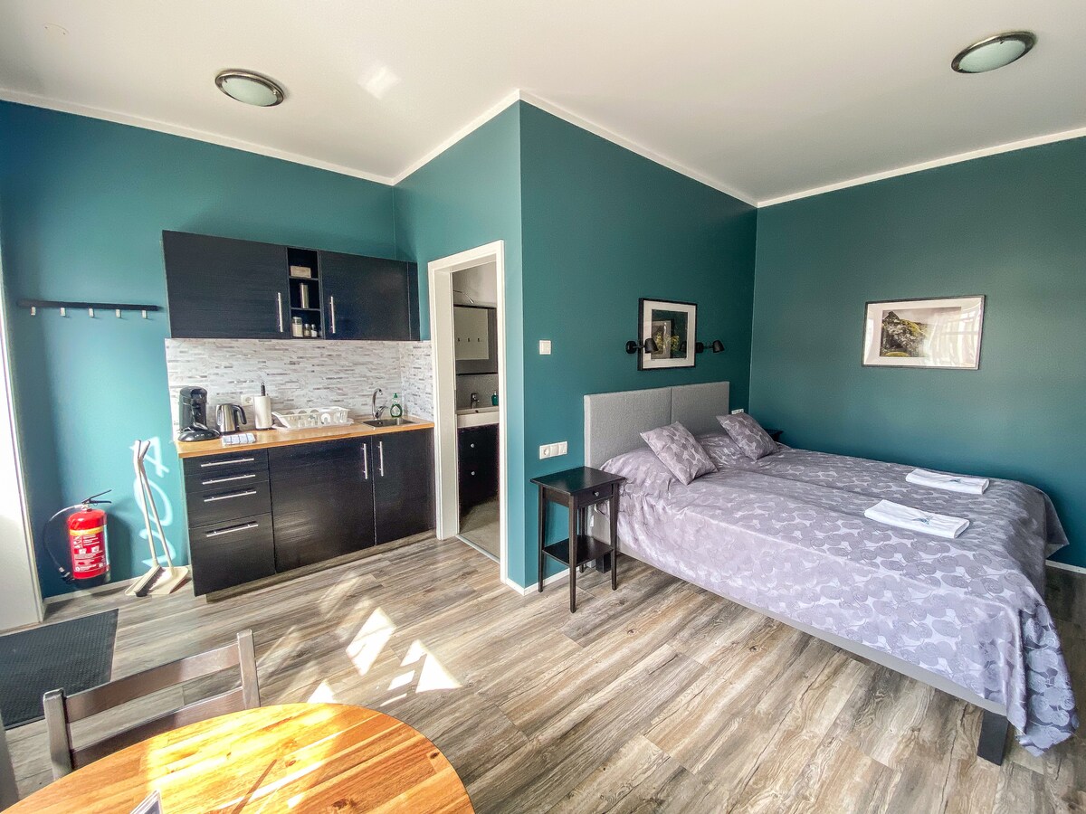 A studio space features a calming dark teal wall with wooden flooring. Two beds with light gray bedding are positioned beside a small table. A kitchenette area contains a coffee maker, kettle, and microwave, with several cabinets and a light-colored backsplash.