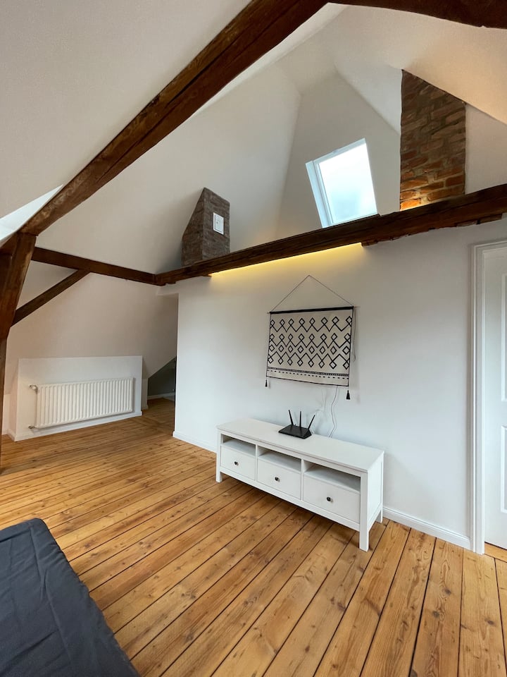 Jugendstilvilla Mühle - Kamen