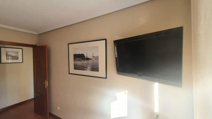 غرفة النوم الرئيسية (تفاصيل التلفزيون).