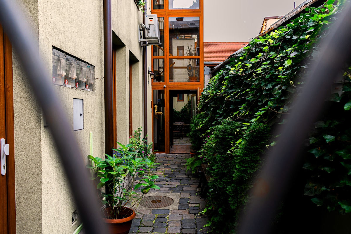 A narrow cobblestone path leads to the entrance of the Lucas Aparthotel, surrounded by lush greenery and ivy-covered walls. The entrance features large glass doors that allow natural light to brighten the space, creating a welcoming transition from the outdoor area.