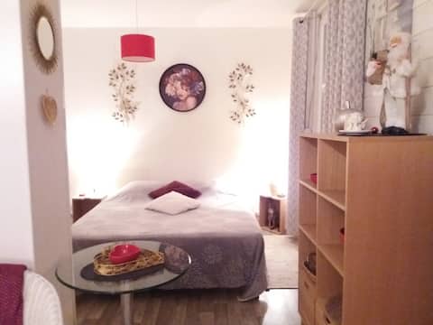 Top performing Airbnb: Beautiful 2* apartment, 2 bedrooms, parking, shuttle 2 steps away in Gérardmer