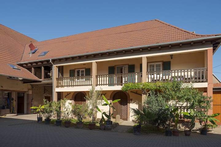Appartement Au Cœur D'un Ancien Corps De Ferme - Oberbronn