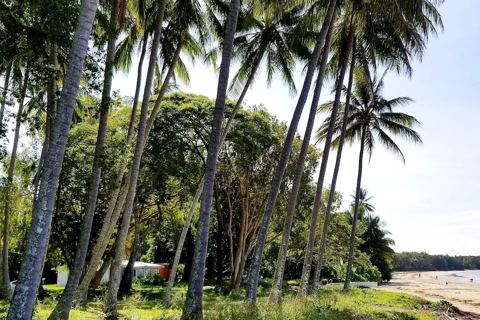 Rob's Beach Shack, on Four Mile Beach, Port Douglas, Queensland, Australia, photo 10 of 10