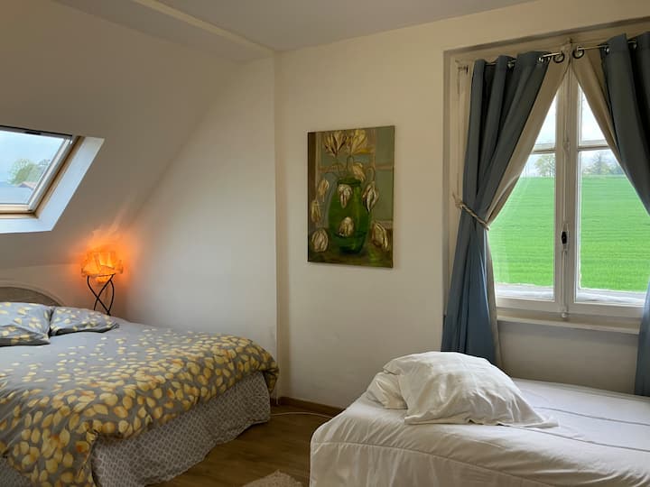 Dormitorio 5 en el segundo piso con 1 cama de 140 y 1 cama de 90.   Ventana vista campo y veloux para ver las estrellas