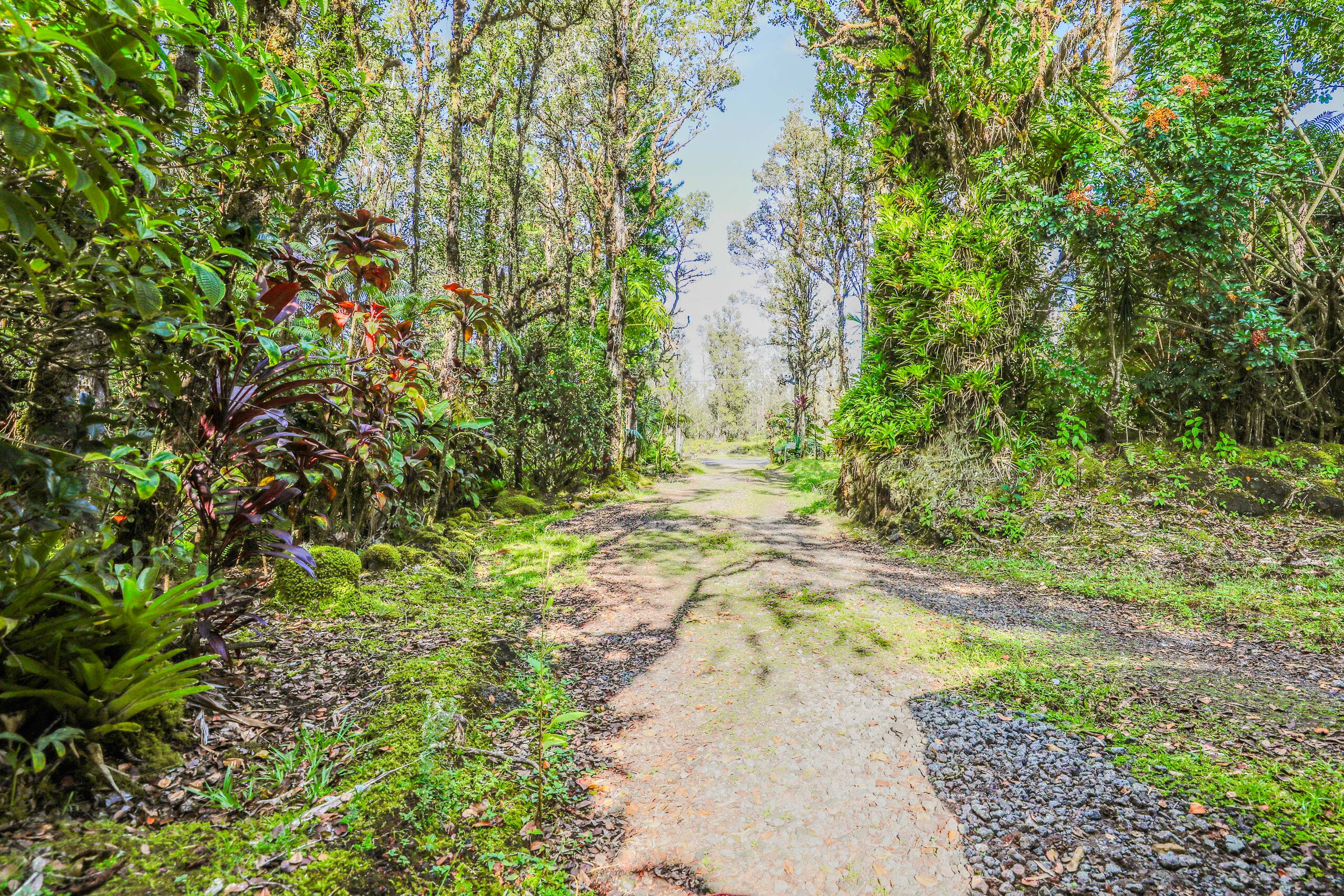 Lehua Lodge LLC - Photo 26