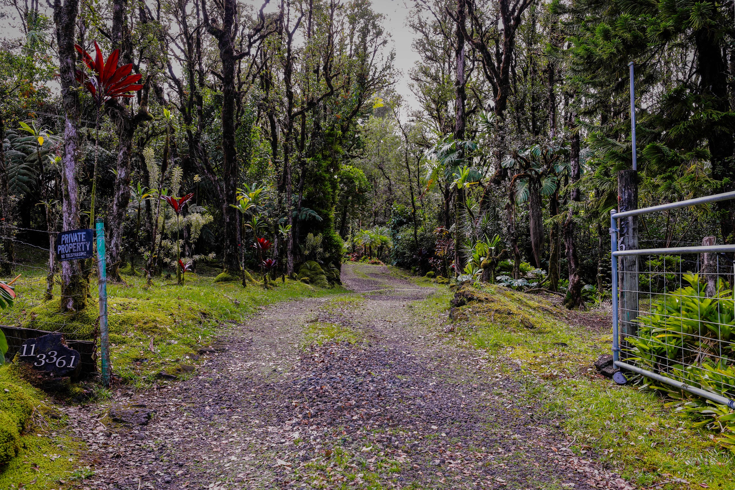 Lehua Lodge LLC - Photo 25