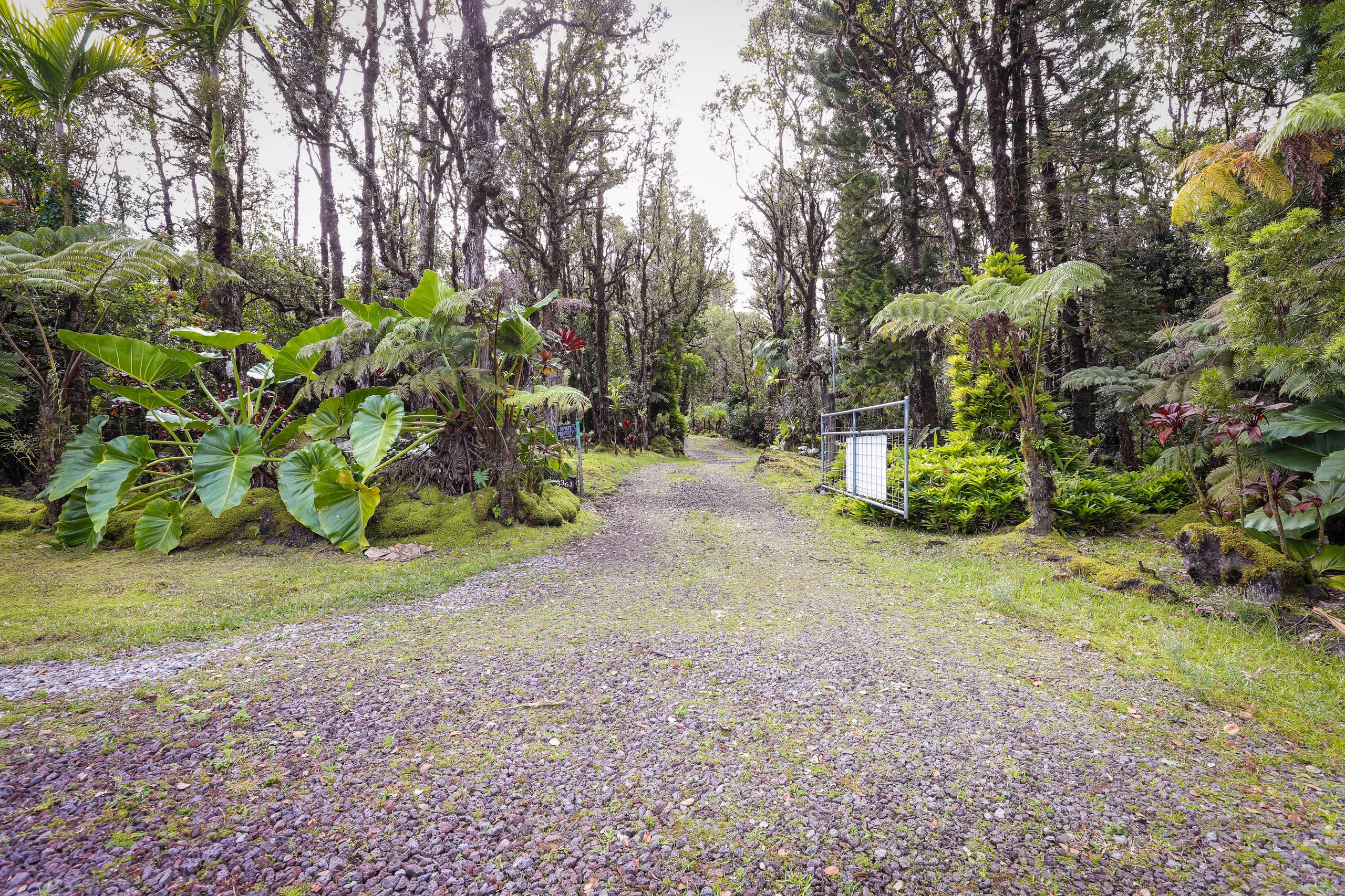 Lehua Lodge LLC - Photo 24