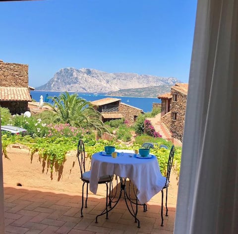 Proprietà Airbnb di successo: Paola's apartment a San Teodoro