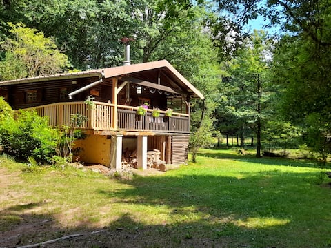 The Baerenbach Cabin