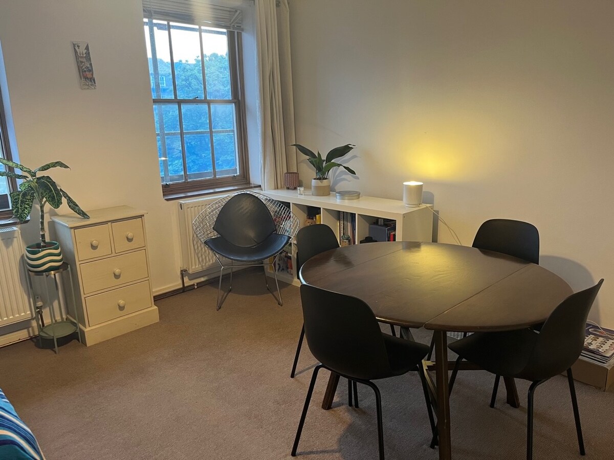 Sala de estar y dormitorio combinados