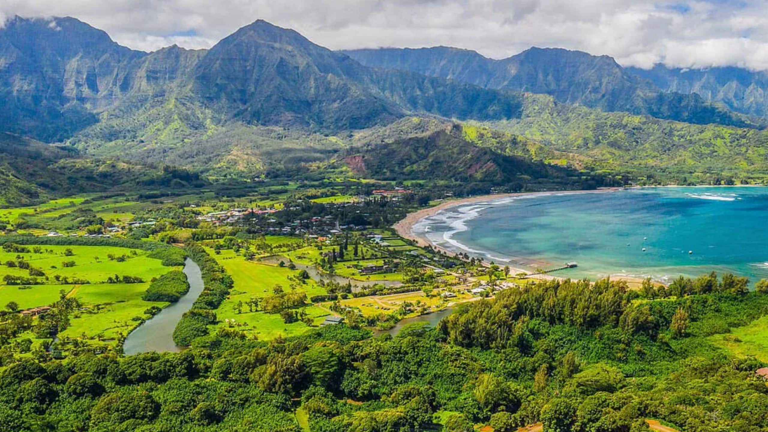 Home in Princeville · ★4.96 · 4 bedrooms · 5 beds · 2 baths - Image 79
