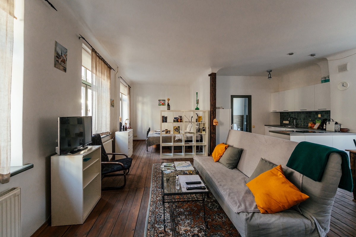 A spacious and light-filled studio showcasing wooden flooring and large windows. A comfortable sofa with colorful pillows is situated in the living area, along with a sleek TV and a minimalist shelf. The open kitchen area features modern appliances and bright decor.